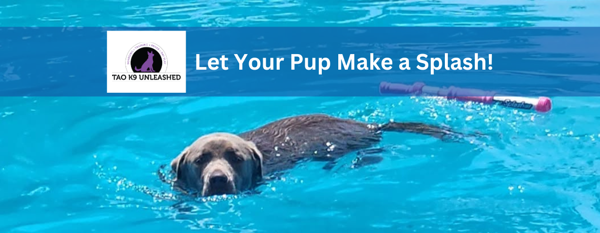 TAO: June 23rd, 24th & 25th: Pool Registrations